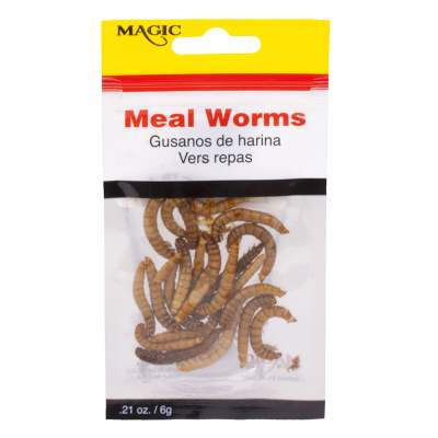 Magic Preserved Meal Worms in Bag