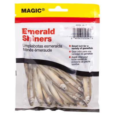 Magic Preserved Shiners (4 oz Bag) - Large Natural,