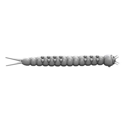 Libra Lures Slight Worm Creaturebait 3,8cm - olive - 15Stück