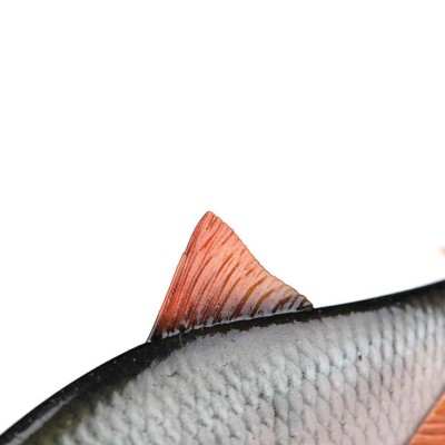 Fox Rage Ultra-Realistic Roach Replicant - Swimbait 10cm - Roach - 18g