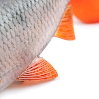 Fox Rage Ultra-Realistic Roach Replicant - Swimbait 10cm - Roach - 18g
