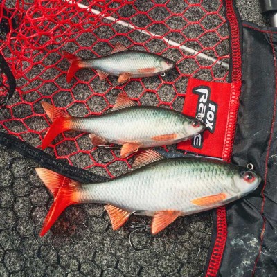 Fox Rage Ultra-Realistic Roach Replicant - Swimbait 10cm - Roach - 18g