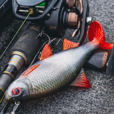 Fox Rage Ultra-Realistic Roach Replicant - Swimbait 10cm - Roach - 18g
