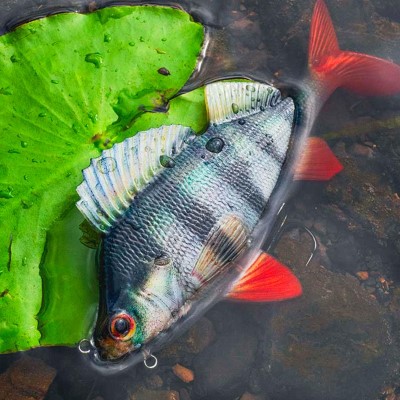 Fox Rage Ultra-Realistic Perch Replicant - Swimbait 10cm - Perch - 22g