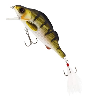 Dull Perch