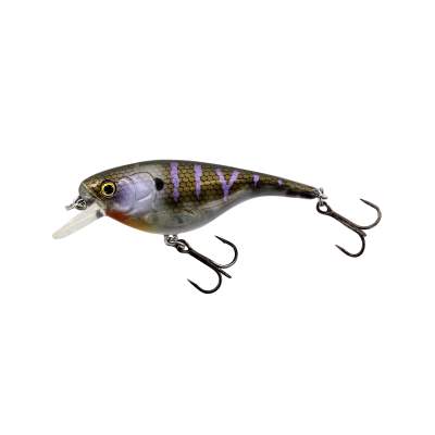 Westin BabyBite SR - Wobbler 6.5cm - Crazy Bluegill - 12g - 1 Stück
