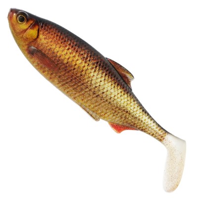 Clear Rudd LIMITED