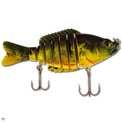 ITT by Bertus Rozemeijer Multi Bass 10 P 10cm - P - 20g - 1Stück