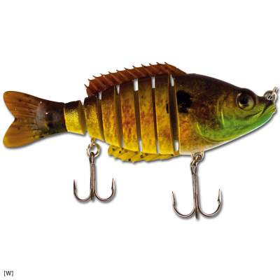 ITT by Bertus Rozemeijer Multi Bass 10 W 10cm - W  - 20g - 1Stück