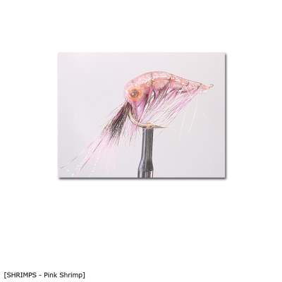X-Version Fly Pink Shrimp 4 Gr.4 - 1Stück - 47