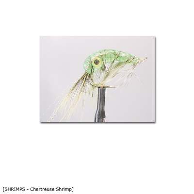 X-Version Fly Chartreuse Shrimp 2/0 Gr.2/0 - 1Stück - 48