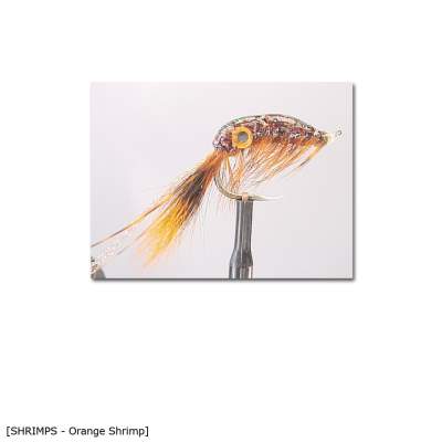 X-Version Fly Orange Shrimp 4 Gr.4 - 1Stück - 49
