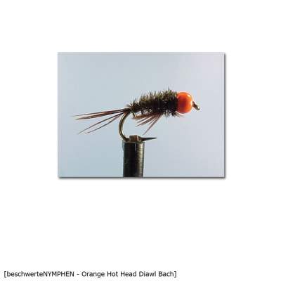 X-Version Fly Beschwerte Nymphe ORANGE HH DIAWL BACH 10 Gr.10 - 1Stück - 76