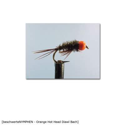 X-Version Fly Beschwerte Nymphe ORANGE HH DIAWL BACH 10, - Gr.10 - 1Stück - 76