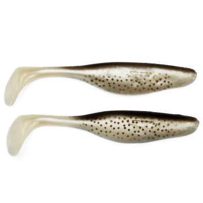 ITT by Bertus Rozemeijer Soft Shaker Shad 11cm (Gummifisch), Rainbow Trout, 2 Stück,