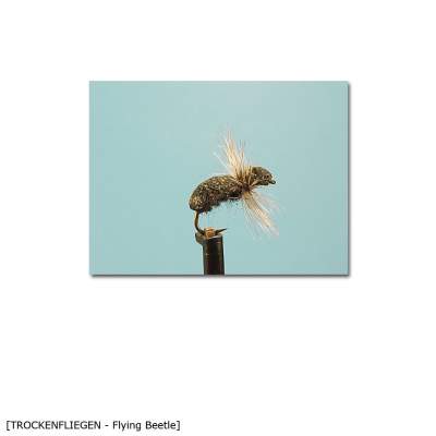 X-Version Fly Trockenfliege Flying Beetle 12 Gr.12 - 1Stück - 39