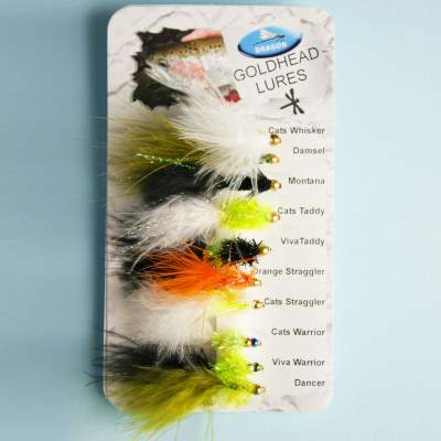 X-Version Fly Fliegenset: GOLDHEAD LURES