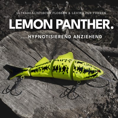 Senshu SWMBT, 23cm - Lemon Panther UV