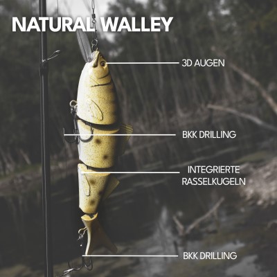 Senshu SWMBT, 23cm - Natural Walley