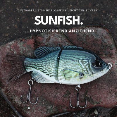 Senshu Bantarel, 15cm - Sunfish