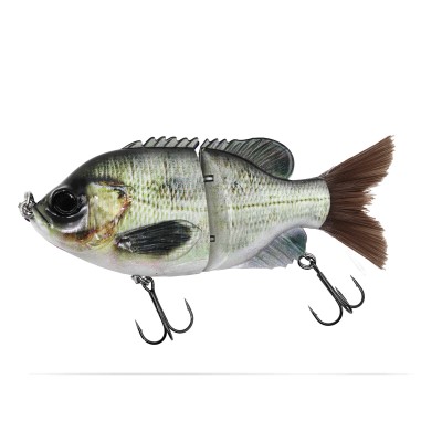 Senshu Bantarel, 15cm - Mean Bream