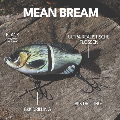 Senshu Bantarel, 15cm - Mean Bream