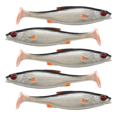 LMAB KØFI (KÖFI) Roach Shad, 7cm - Real Roach - 3g - 5 Stück