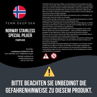 Team Deep Sea Norway Stainless Special Pilker 200g - Silber Reflex - 1 Stück