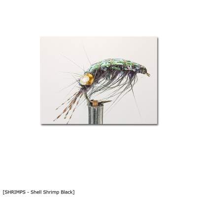 X-Version Fly Shell Shrimp B 10 black - Gr.10 - 1Stück - 52