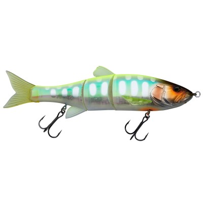 Illex Dowz Swimmer 220 SF - Swimbait - 22cm - Chartreuse Back Yamame - 102g - Gr.1/0 - 1Stück