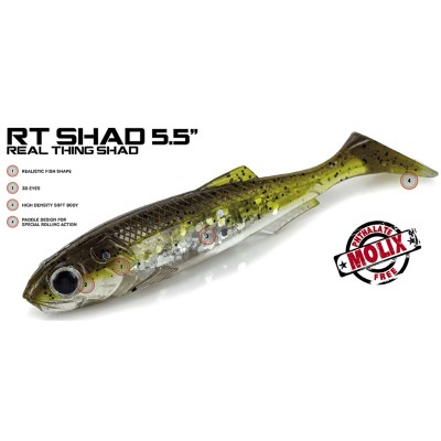 Molix Real Thing Shad Gummifisch 14cm - Brown Back Silver Flake