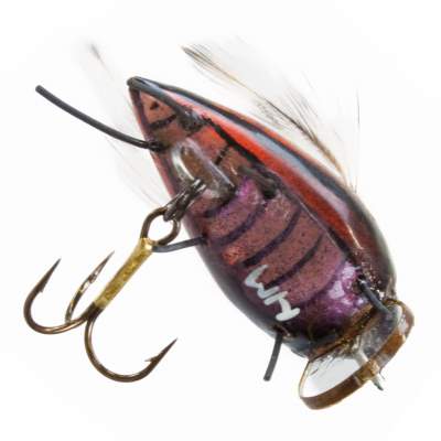 Angel Domäne Insektenwobbler Kartoffelkäfer 2,5cm - Kartoffelkäfer - 2g - 1Stück