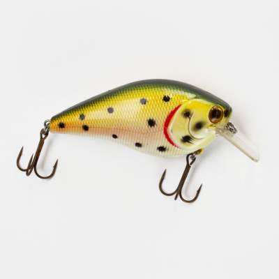 Angel Domäne MAG Crank Wobbler, Rainbow Trout, - Rainbow Trout - 1Stück