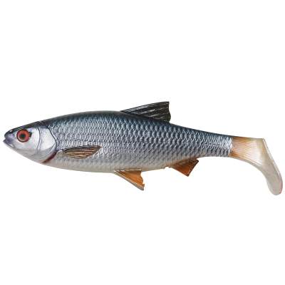 Roach