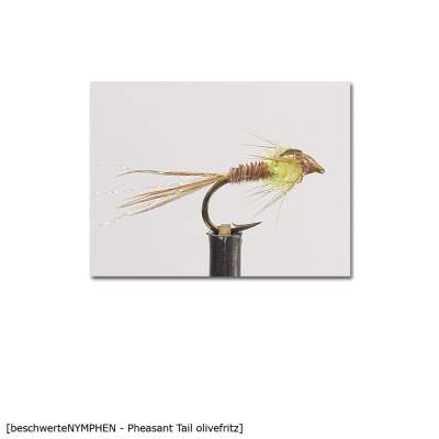 X-Version Fly Beschwerte Nymphe PHEASANT TAIL OLIVE FRITZ 18, - Gr.18 - 1Stück - 61