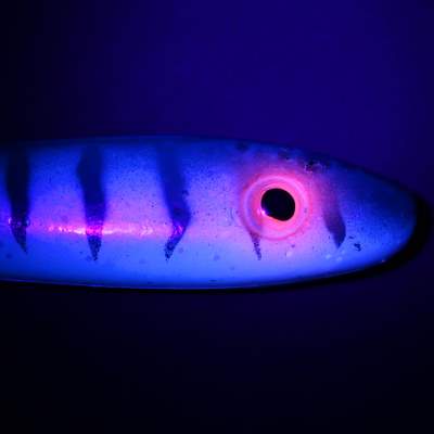 Svartzonker Sweden McRubber Tail Twister 23cm UV Pearl Mackerel Gummifische mit Twisterschwanz - 35g - C16 - 3 Stück