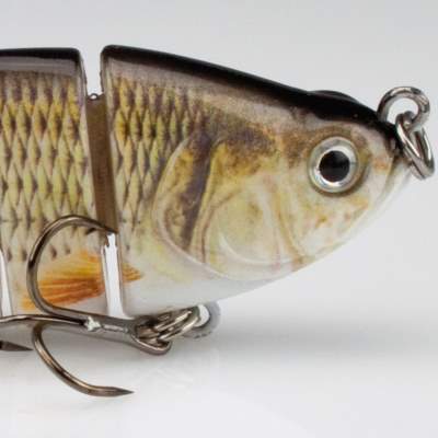 Roy Fishers Real Fish Shad Swimbait 10 WF, - 10cm - Weißfisch - 25g - 1Stück