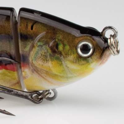Roy Fishers Real Fish Shad Swimbait 10 SA 10cm - Saibling - 25g - 1Stück