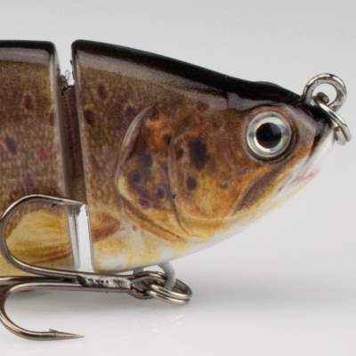 Roy Fishers Real Fish Shad Swimbait 10 BF 10cm - Bachforelle - 25g - 1Stück