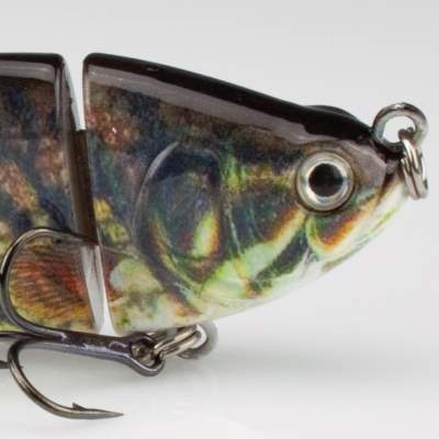 Roy Fishers Real Fish Shad Swimbait 10 KA 10cm - Karpfen - 25g - 1Stück
