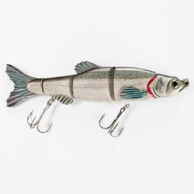 Roy Fishers Killer Swimbait 17cm Weißfisch, - 17cm - Weißfisch - 40g - 1Stück
