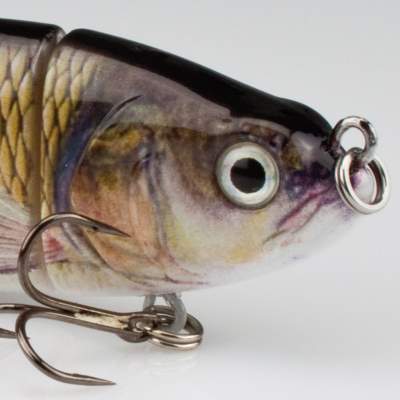 Roy Fishers Real Fish Minnow Swimbait 125 KAR 12,5cm - Karausche - 27g - 1Stück