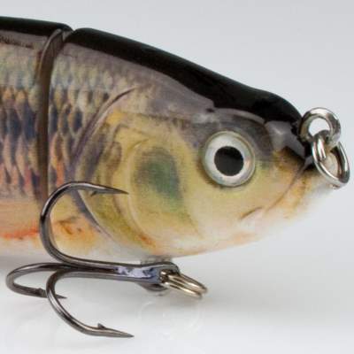 Roy Fishers Real Fish Minnow Swimbait 125 RO, - 12,5cm - Rotauge - 27g - 1Stück