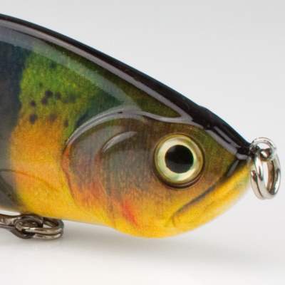 Senshu Big DC Real Swimbait 16 Paecock, - 16cm - Peacock - 36g - 1Stück