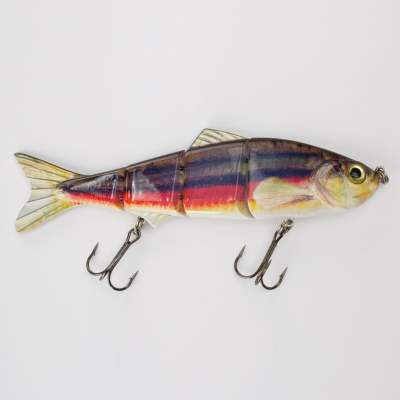 Senshu Big DC Real Swimbait 16 Arctic Char, 16cm - Arctic Char - 36g - 1Stück