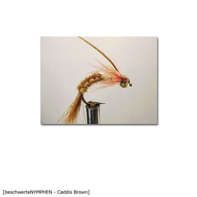 X-Version Fly Beschwerte Nymphe CADDIS BROWN 10 Gr.10 - 1Stück - 67