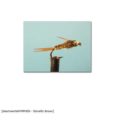 X-Version Fly Beschwerte Nymphe STONEFLY BROWN 12 Gr.12 - 1Stück - 69