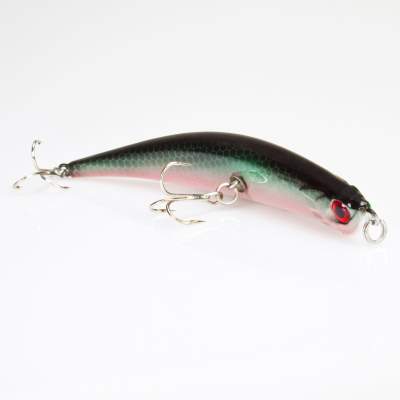 DLT Crank Bait Rainbowtrout,