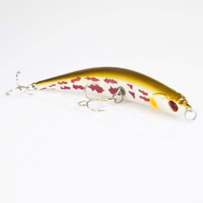 DLT Crank Bait white bass,