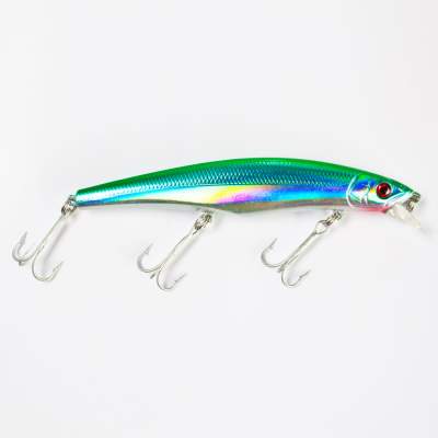 DLT Pike Flash 20g Farbe Boddenmaster 12,5cm - Boddenmaster - 20g - 1Stück